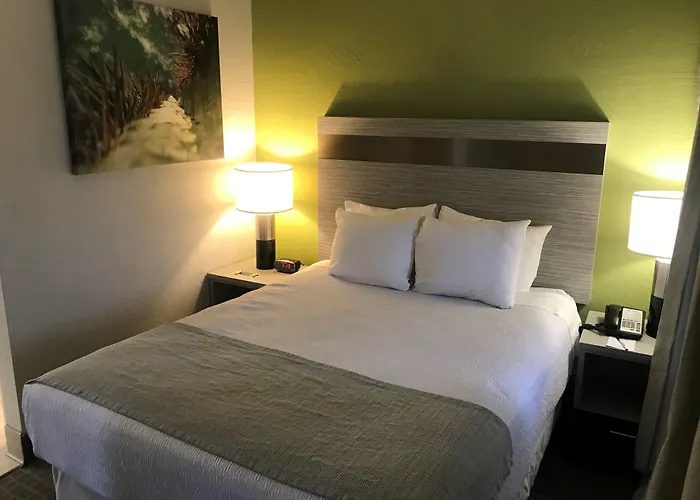 Surestay Innsuites & By Western Hotel 3*