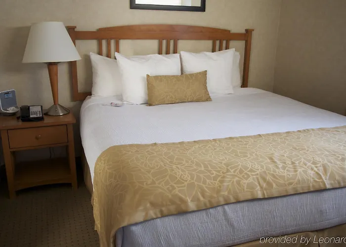 Surestay Innsuites & By Western 3*